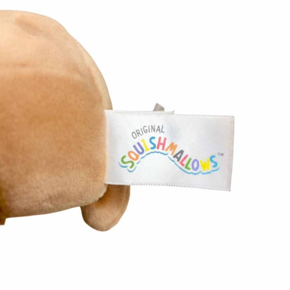Squishmallows Bigfoot Benny with Beanie Clip Keychain 5" Plush Take 4 Game Rare - Picture 3 of 3